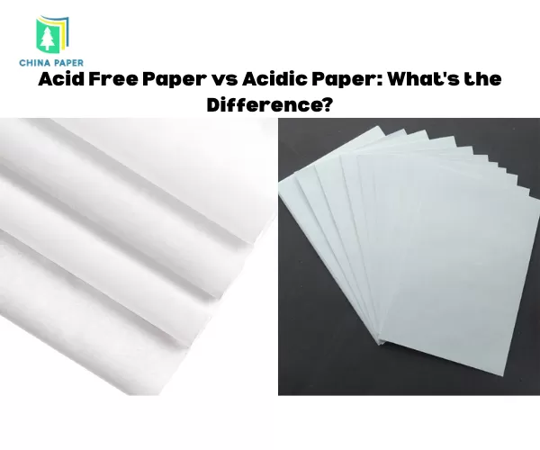 Carta senza acidi vs Carta acida: Qual è la differenza?