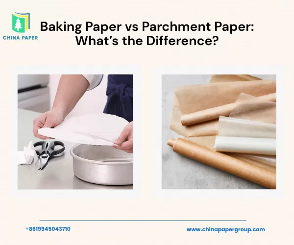 Carta da forno vs carta pergamena: qual è la differenza?