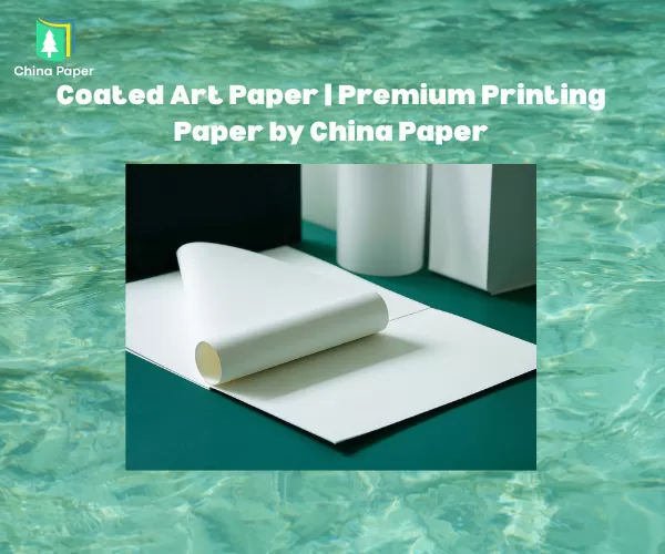 Carta patinata artistica | Carta da stampa premium di China Paper