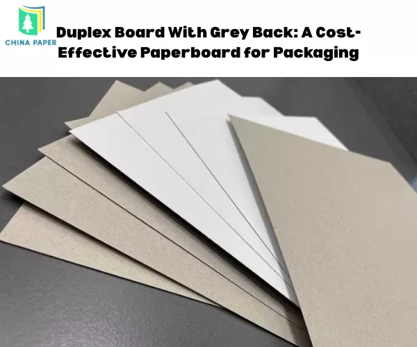 Cartone Duplex con retro grigio: un cartoncino conveniente per imballaggi