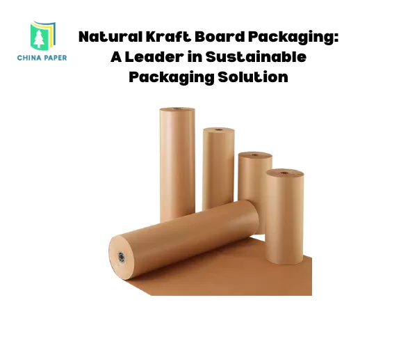 Imballaggi in cartone kraft naturale: un leader nelle soluzioni di imballaggio sostenibile