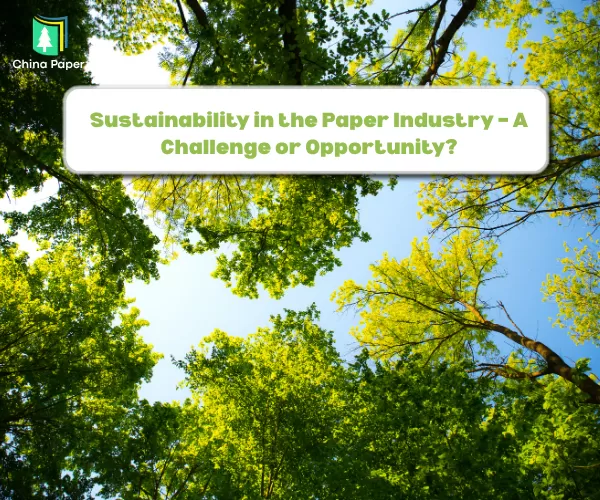 Sostenibilità nell'industria della carta – Una sfida o un'opportunità?