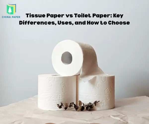 Carta Tissue vs Carta Igienica: Differenze Chiave, Usi e Come Scegliere