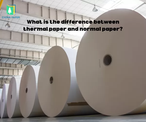 Qual è la differenza tra la carta termica e la carta normale?