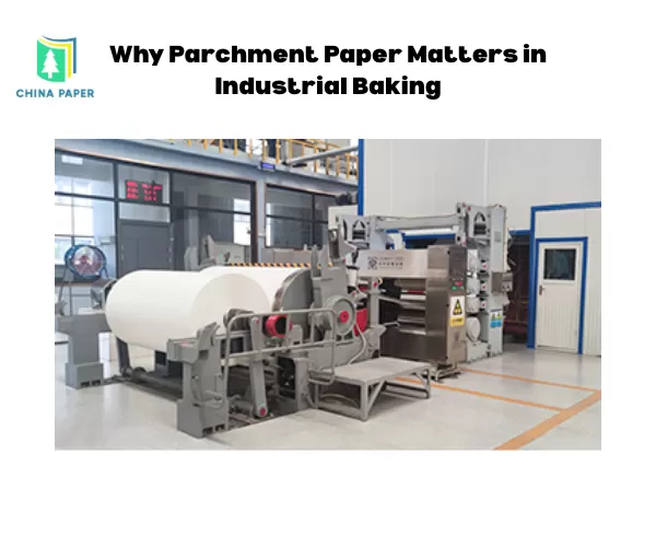 Perché la carta forno è importante nella panificazione industriale
