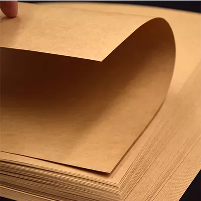 Carta Kraft assorbente