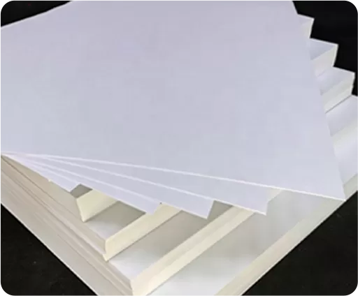 Cartoncino Ivory C1S/FBB