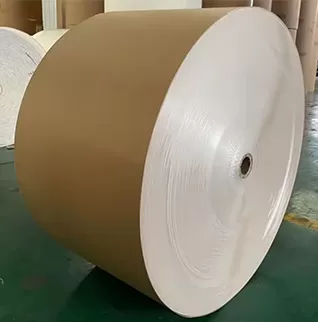 Cartoncino Patinato con Retro Kraft (CKB)