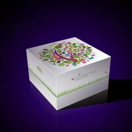 Packaging e scatole di alta gamma