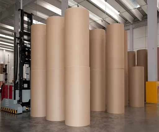 Cartone Kraft per liner