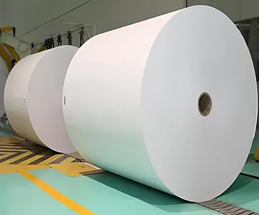 Mg Paper