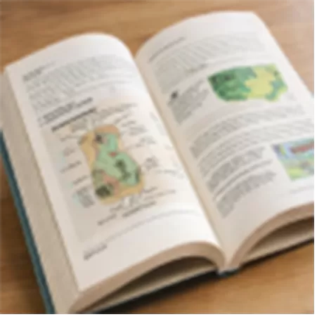 Periodici e Pubblicazioni