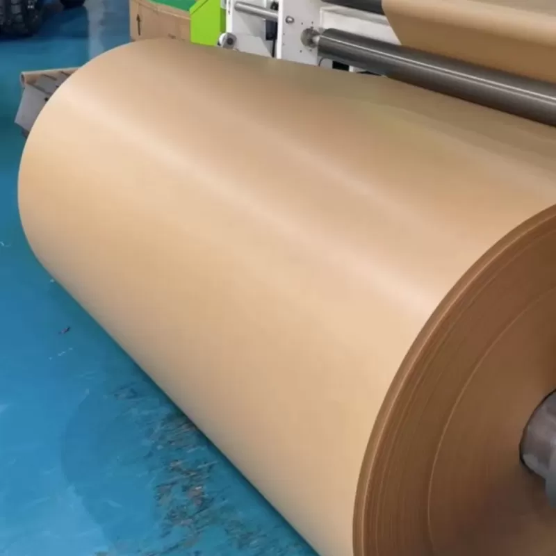 Carta resistente al grasso a base d'acqua