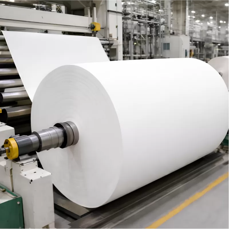 Carta offset senza legno in vendita